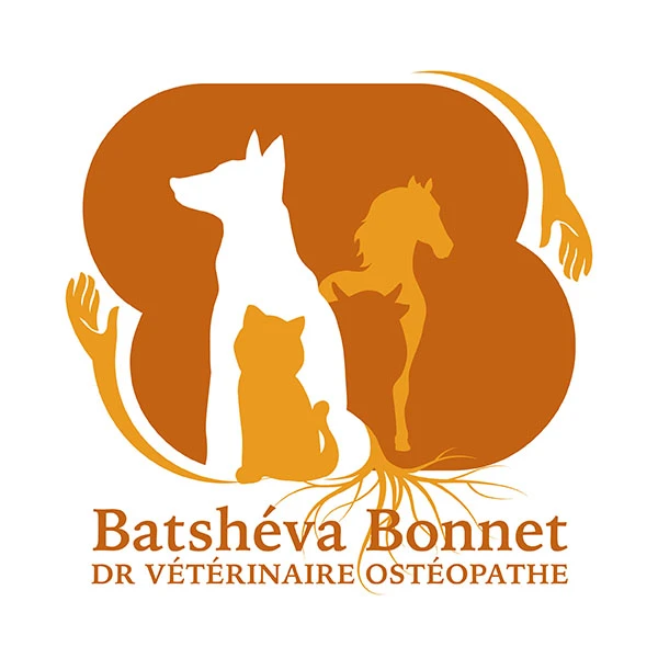 daf-waf pet sittig partenaire avec Batshéva Bonnet vétérinaire et osthéopathe