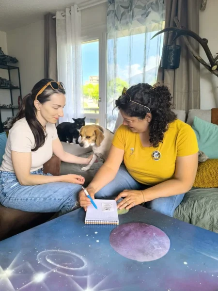 daf-waf petsitting pré-rencontre première rencontre gratuite premier rendez-vous gratuit entretient échange